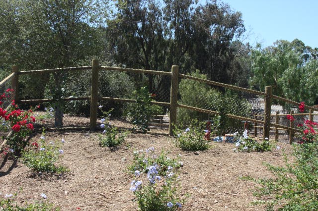 Lodge Pole Fencing